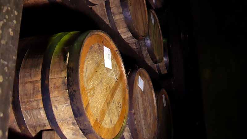 家飲みウイスキーの最適解はコスパ抜群の【富士山麓樽熟原酒50°】キリン富士御殿場蒸溜所を訪ねました。