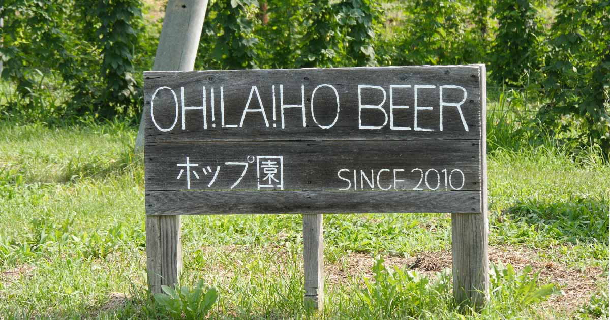 オラホビールのブルワリーを訪問! ホップ畑を見学しました