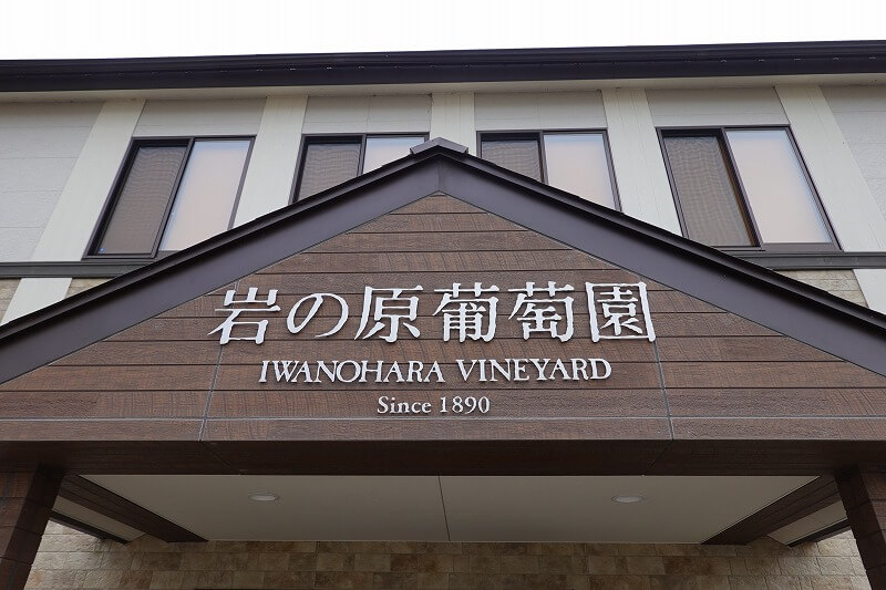 日本ワインの礎マスカット・ベーリーA～川上善兵衛の夢を継ぐ者たち①