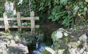 【柿崎の名水、大出口泉水】