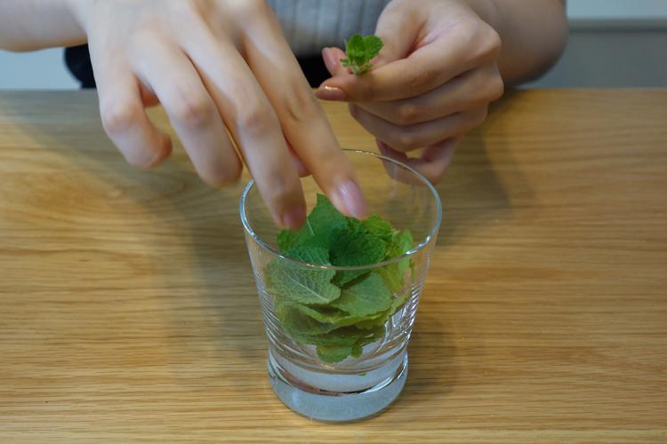 ミントいっぱい