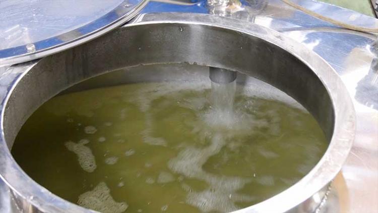 さて、いよいよ搾ります