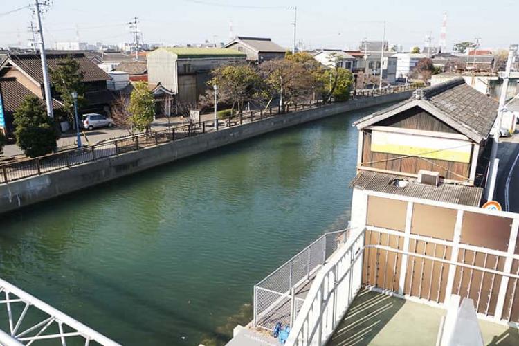 このへんはもう海水50％という感じで、海の香りがします。