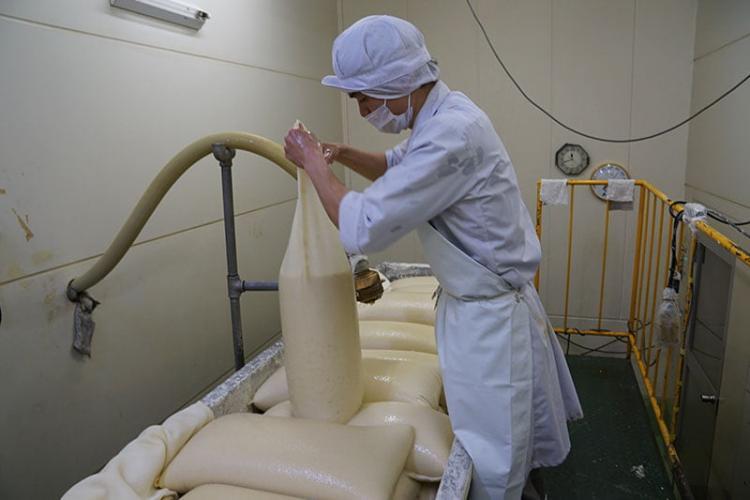 仕込みの終わったみりんを搾ります。みりんはこの後、熟成用のタンクへ。  残ったみりん粕は、守口大根の漬物などに利用されます。