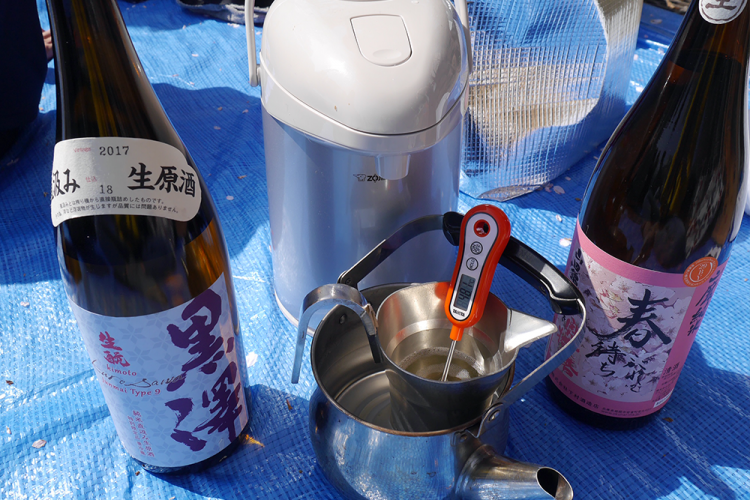 花見の燗酒写真