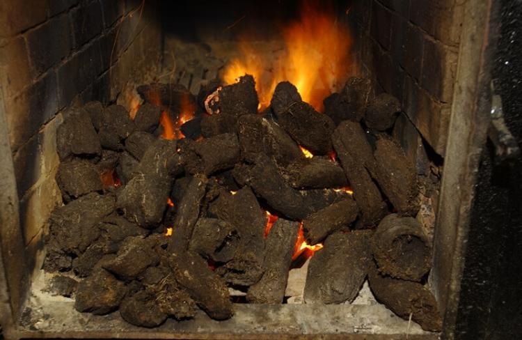 ▲泥炭地からピートを切り出して、天日で干す。ピートを焚いてその煙で発芽した大麦に煙香をつける