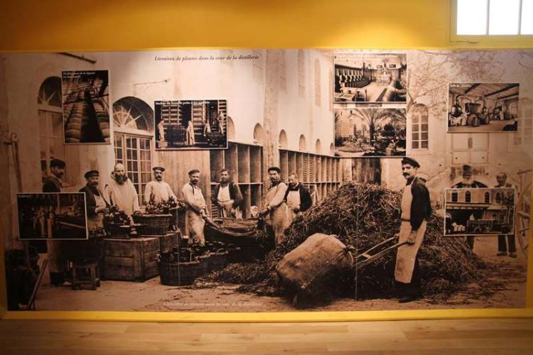 手作業でつくっていた頃の製造現場。大量のボタニカルが積みあげられている