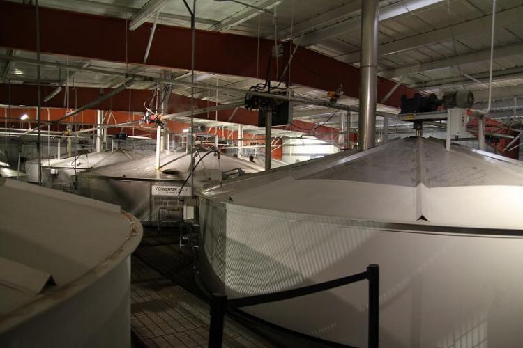 密閉式のステンレス発酵タンクが並んでいた