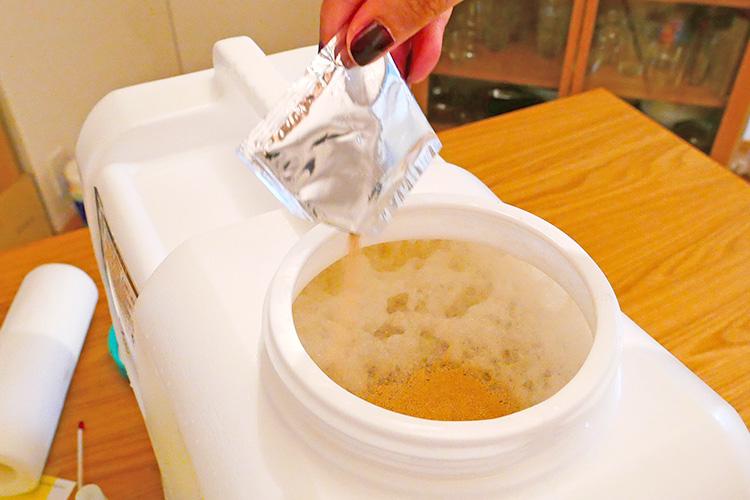 がんばれ手作りビールのイースト菌！