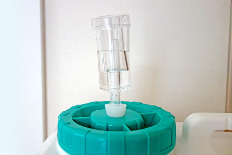 翌朝、“ビール“はしっかりと活動していました。