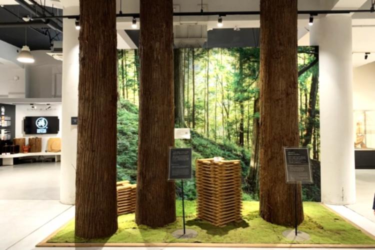 吉野の杉林が再現